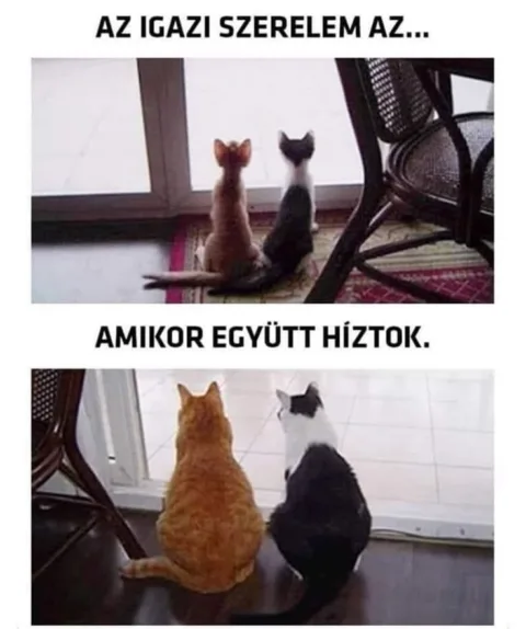 Vicces képek – 1745906421