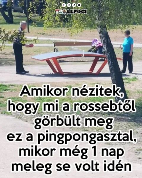 Vicces képek – 1745911017