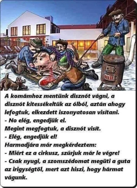Vicces képek – 1745942420