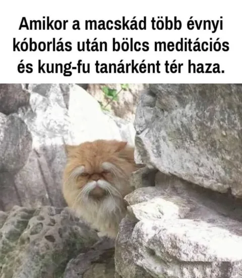 Vicces képek – 1745996418