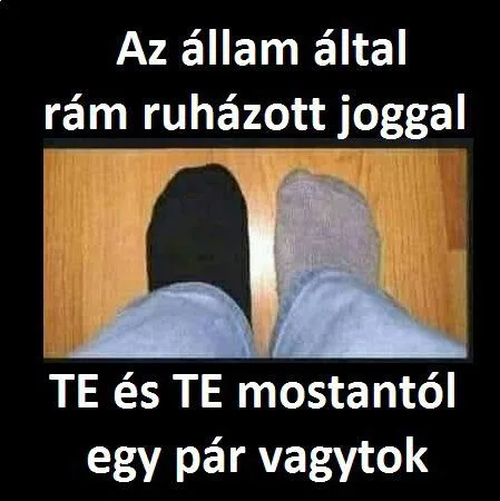 Vicces képek – 1746036015