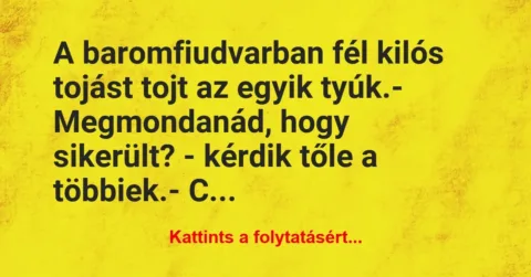 Vicc: A baromfiudvarban fél kilós tojást tojt az egyik tyúk.

-…