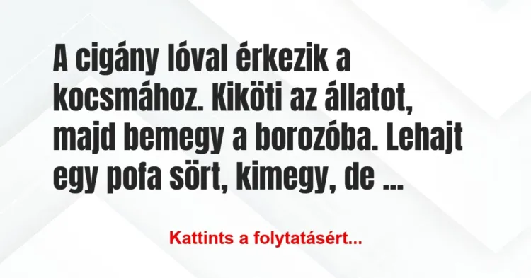 Vicc: A cigány lóval érkezik a kocsmához. Kiköti az állatot, majd bemegy a… Vicc: A cigány lóval érkezik a kocsmához. Kiköti az állatot, majd bemegy a…