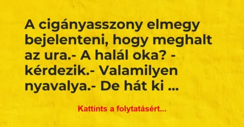 Vicc: A cigányasszony elmegy bejelenteni, hogy meghalt az ura.
– A… Vicc: A cigányasszony elmegy bejelenteni, hogy meghalt az ura.
– A…