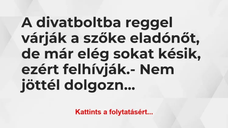 Vicc: A divatboltba reggel várják a szőke eladónőt, de már elég… Vicc: A divatboltba reggel várják a szőke eladónőt, de már elég…