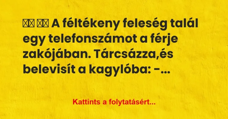 Vicc:
A féltékeny feleség talál egy telefonszámot a… Vicc:
A féltékeny feleség talál egy telefonszámot a…