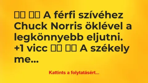 Vicc:
A férfi szívéhez Chuck Norris öklével a… Vicc:
A férfi szívéhez Chuck Norris öklével a…