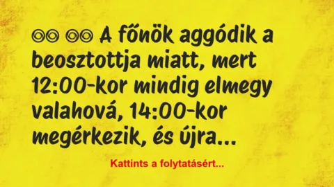 Vicc: 
		  
		  A főnök aggódik a beosztottja miatt,…