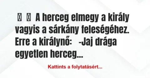 Vicc: 
	    	    A herceg elmegy a király vagyis a sárkány feleségéhez. Erre…