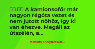 Vicc: 
		  
		  A kamionsofőr már nagyon régóta vezet és nem…