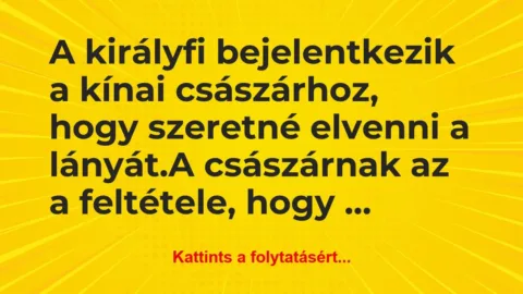 Vicc: A királyfi bejelentkezik a kínai császárhoz, hogy szeretné…