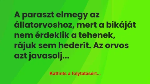 Vicc: A paraszt elmegy az állatorvoshoz, mert a bikáját nem…