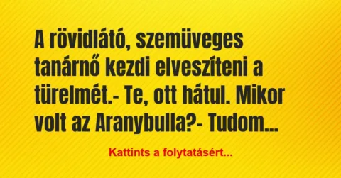 Vicc: A rövidlátó, szemüveges tanárnő kezdi elveszíteni a türelmét.

-…