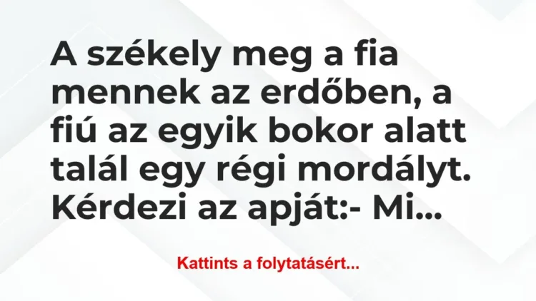 Vicc: A székely meg a fia mennek az erdőben, a fiú az egyik bokor… Vicc: A székely meg a fia mennek az erdőben, a fiú az egyik bokor…
