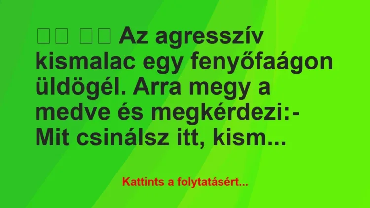 Vicc:
Az agresszív kismalac egy fenyőfaágon… Vicc:
Az agresszív kismalac egy fenyőfaágon…