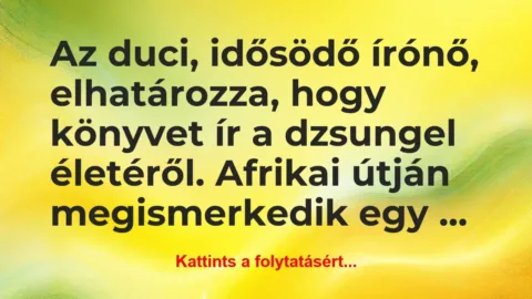 Vicc: Az duci, idősödő írónő, elhatározza, hogy könyvet ír a… Vicc: Az duci, idősödő írónő, elhatározza, hogy könyvet ír a…