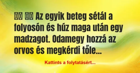 Vicc:
Az egyik beteg sétál a folyosón és húz maga után … Vicc:
Az egyik beteg sétál a folyosón és húz maga után …