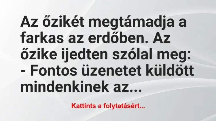 Vicc: Az őzikét megtámadja a farkas az erdőben. Az őzike ijedten… Vicc: Az őzikét megtámadja a farkas az erdőben. Az őzike ijedten…