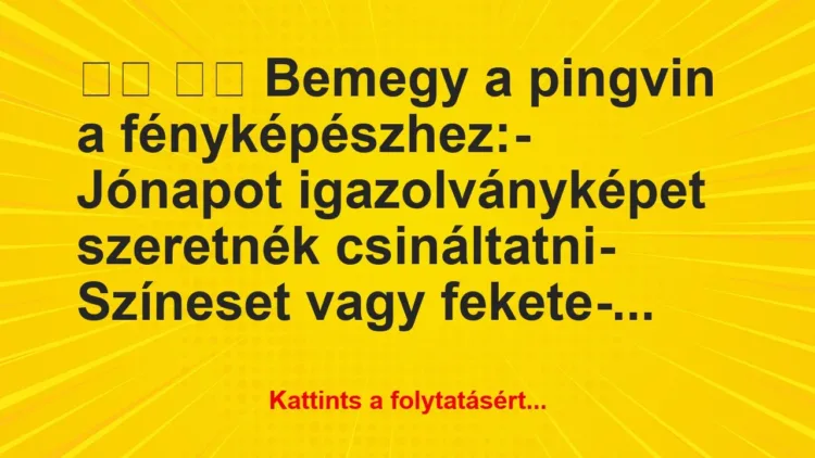 Vicc:
Bemegy a pingvin a fényképészhez:- … Vicc:
Bemegy a pingvin a fényképészhez:- …