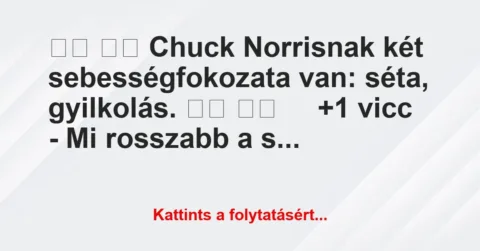 Vicc: 
		  
		  Chuck Norrisnak két sebességfokozata van: séta,…