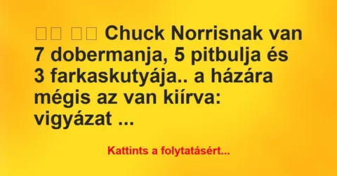 Vicc:
Chuck Norrisnak van 7 dobermanja, 5 pitbulja és 3… Vicc:
Chuck Norrisnak van 7 dobermanja, 5 pitbulja és 3…