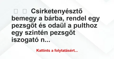 Vicc: 
	    	    Csirketenyésztő bemegy a bárba, rendel egy pezsgőt és odaül…
