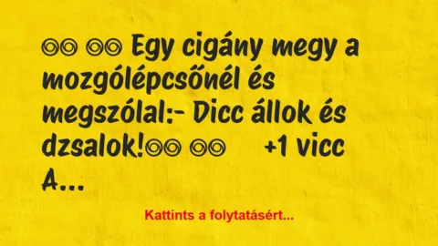 Vicc: 
		  
		  Egy cigány megy a mozgólépcsőnél és…
