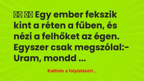 Vicc:
Egy ember fekszik kint a réten a fűben,… Vicc:
Egy ember fekszik kint a réten a fűben,…