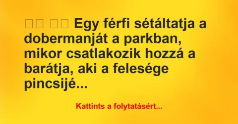 Vicc:
Egy férfi sétáltatja a dobermanját a parkban,… Vicc:
Egy férfi sétáltatja a dobermanját a parkban,…