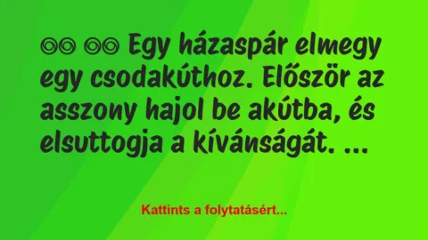 Vicc: 
		  
		  Egy házaspár elmegy egy csodakúthoz….
