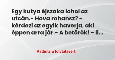Vicc: Egy kutya éjszaka lohol az utcán.

– Hova rohansz? – kérdezi az…