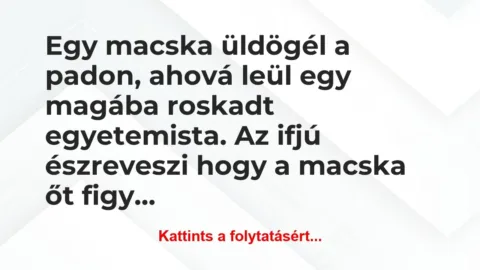 Vicc: Egy macska üldögél a padon, ahová leül egy magába roskadt…
