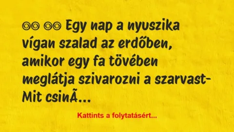 Vicc: 
		  
		  Egy nap a nyuszika vígan szalad az…