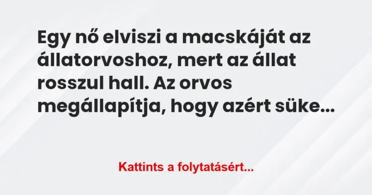 Vicc: Egy nő elviszi a macskáját az állatorvoshoz, mert az állat rosszul… Vicc: Egy nő elviszi a macskáját az állatorvoshoz, mert az állat rosszul…