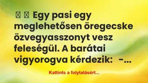 Vicc: 
	    	    Egy pasi egy meglehetősen öregecske…