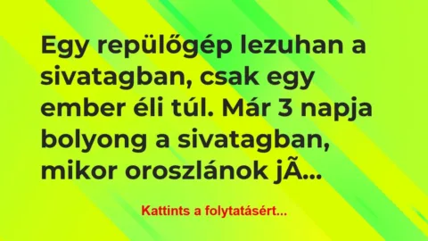 Vicc: Egy repülőgép lezuhan a sivatagban, csak egy ember éli túl…. Vicc: Egy repülőgép lezuhan a sivatagban, csak egy ember éli túl….
