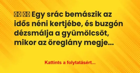 Vicc:
Egy srác bemászik az idős néni kertjébe, és… Vicc:
Egy srác bemászik az idős néni kertjébe, és…