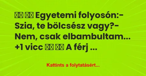 Vicc:
Egyetemi folyosón:- Szia, te bölcsész… Vicc:
Egyetemi folyosón:- Szia, te bölcsész…