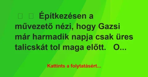 Vicc:
Építkezésen a művezető nézi, hogy Gazsi már harmadik napja … Vicc:
Építkezésen a művezető nézi, hogy Gazsi már harmadik napja …