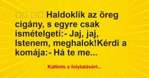 Vicc:
Haldoklik az öreg cigány, s egyre csak… Vicc:
Haldoklik az öreg cigány, s egyre csak…