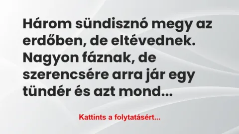 Vicc: Három sündisznó megy az erdőben, de eltévednek. Nagyon…