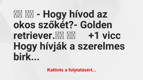 Vicc: 
		  
		  – Hogy hívod az okos szőkét?-…