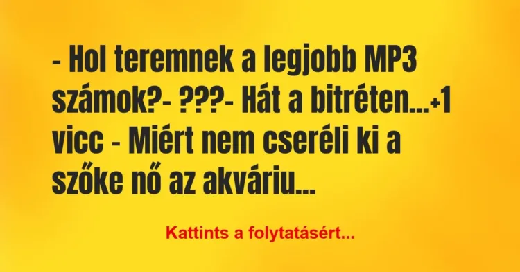 Vicc: – Hol teremnek a legjobb MP3 számok?
– ???
– Hát a… Vicc: – Hol teremnek a legjobb MP3 számok?
– ???
– Hát a…