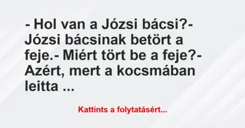 Vicc: – Hol van a Józsi bácsi?
– Józsi bácsinak betört a feje.
-… Vicc: – Hol van a Józsi bácsi?
– Józsi bácsinak betört a feje.
-…