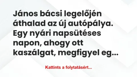 Vicc: János bácsi legelőjén áthalad az új autópálya. Egy nyári… Vicc: János bácsi legelőjén áthalad az új autópálya. Egy nyári…