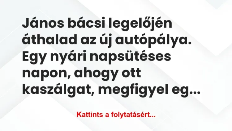 Vicc: János bácsi legelőjén áthalad az új autópálya. Egy nyári… Vicc: János bácsi legelőjén áthalad az új autópálya. Egy nyári…