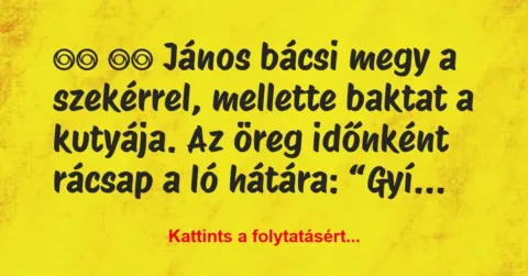Vicc: 
		  
		  János bácsi megy a szekérrel, mellette baktat a…