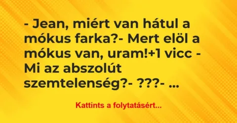 Vicc: – Jean, miért van hátul a mókus farka?
– Mert elöl a mókus van,… Vicc: – Jean, miért van hátul a mókus farka?
– Mert elöl a mókus van,…