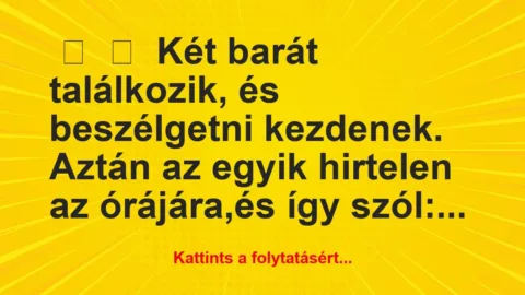 Vicc: 
	    	    Két barát találkozik, és beszélgetni…