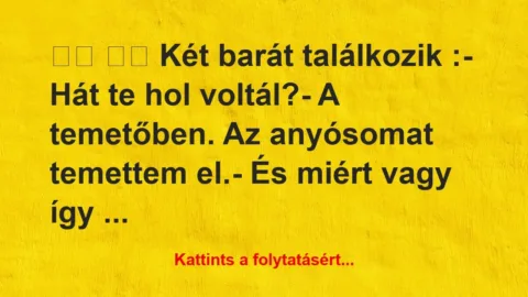 Vicc: 
		  
		  Két barát találkozik :- Hát te hol …